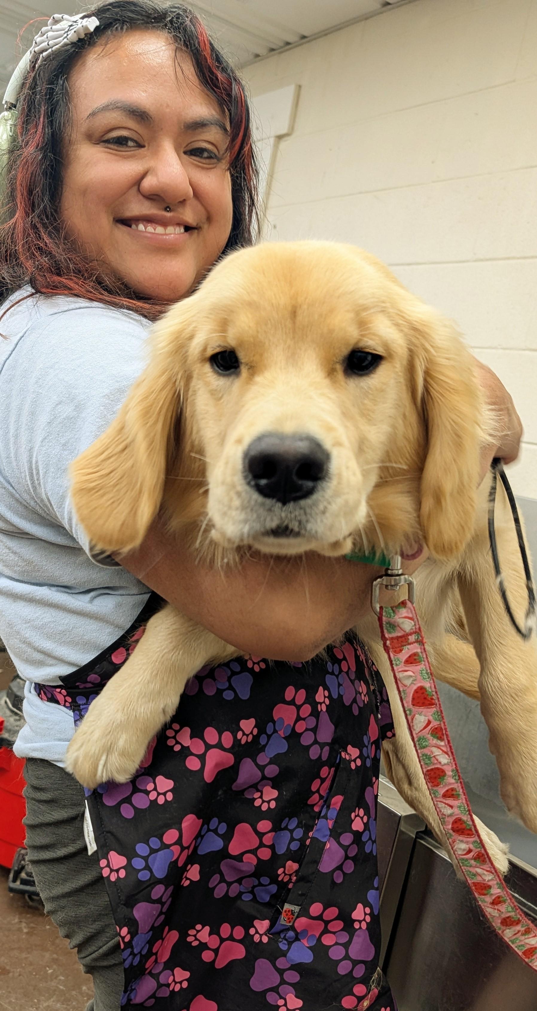 France Lozano, Dog Groomer at River Paws dog grooming and hiking service in Waunakee, Wisconsin