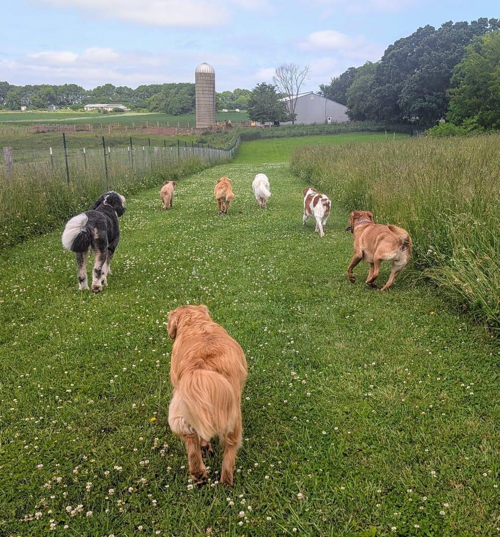 Organized pack building confidence serving Sun Prairie families at professionally supervised wilderness trails