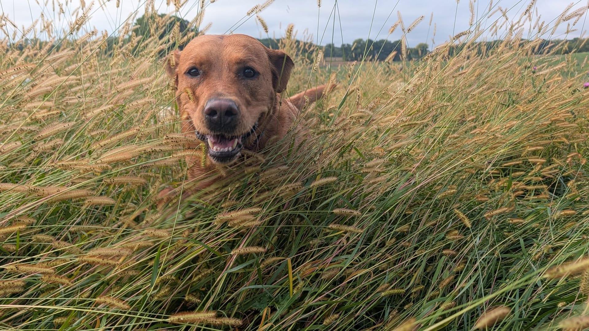 Radiant Lab mix finding adventure balance through acres of purpose-built adventure trails at Waunakee's premier adventure facility